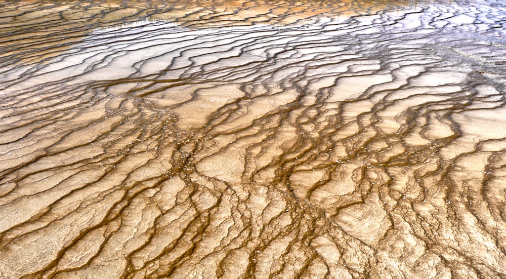 brown sand near body of water during daytime