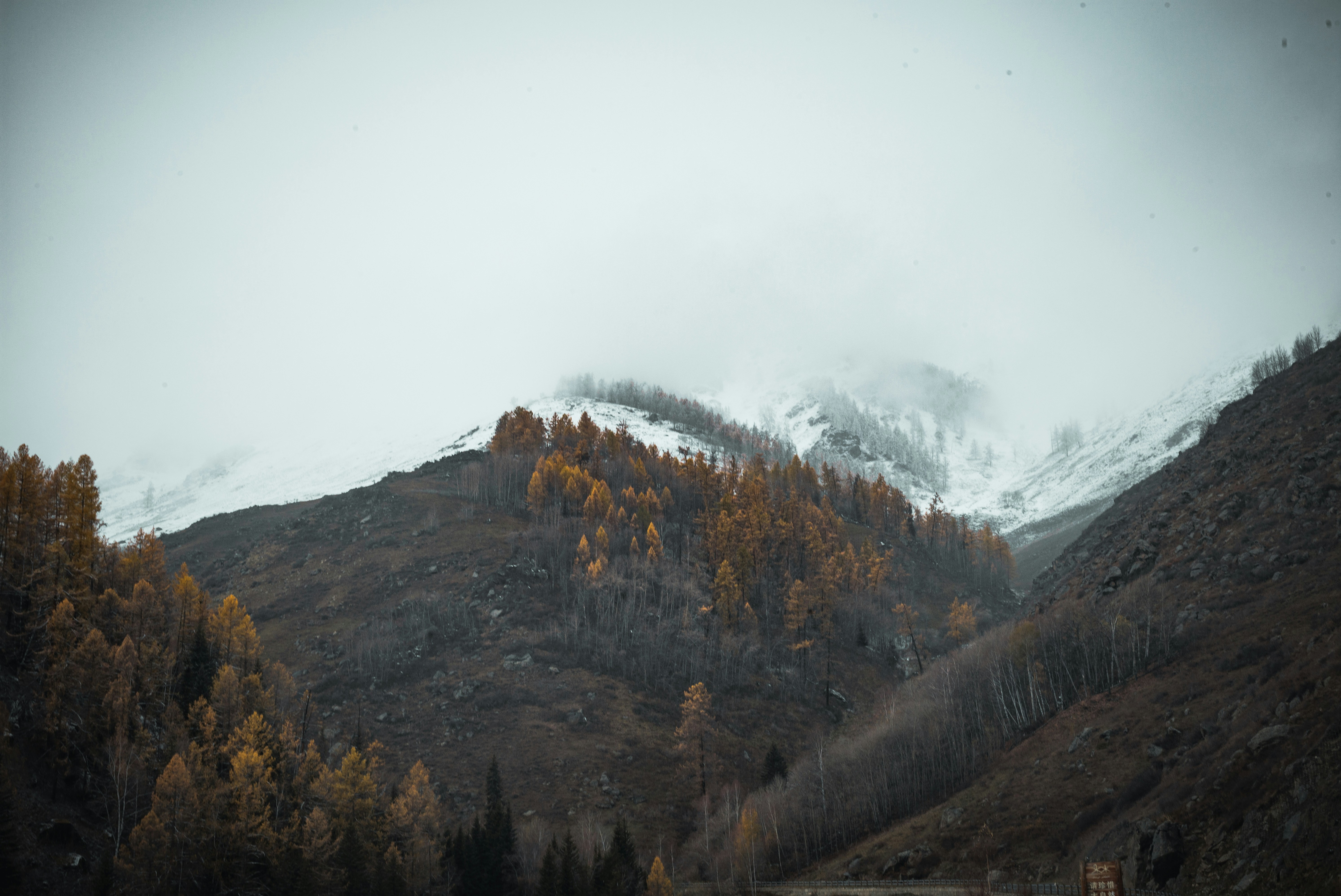 Photo by guoshiwushuang