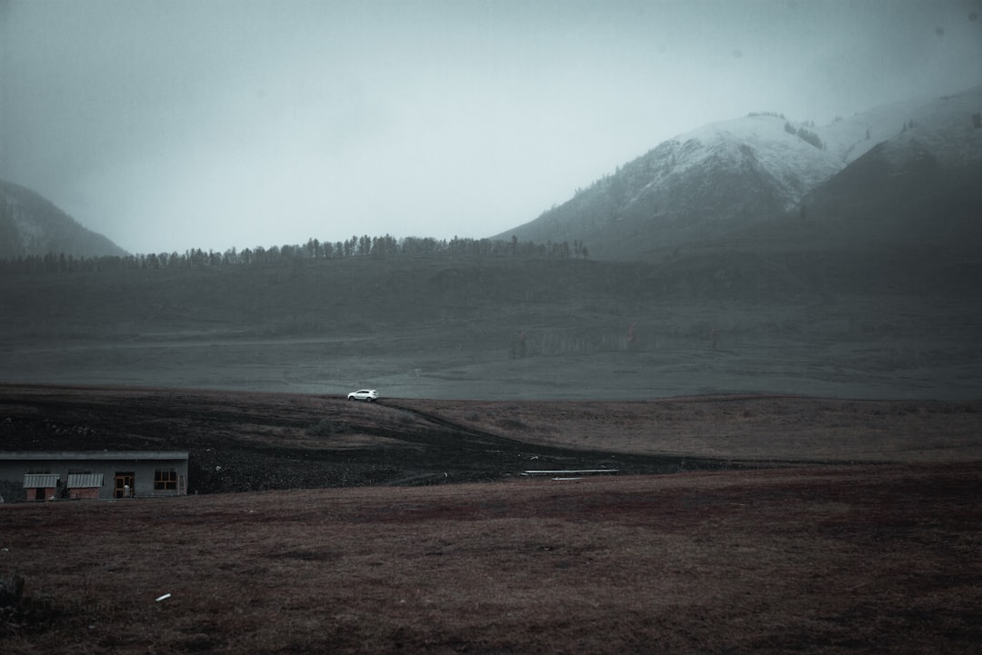 brown house near green trees and mountain during daytime