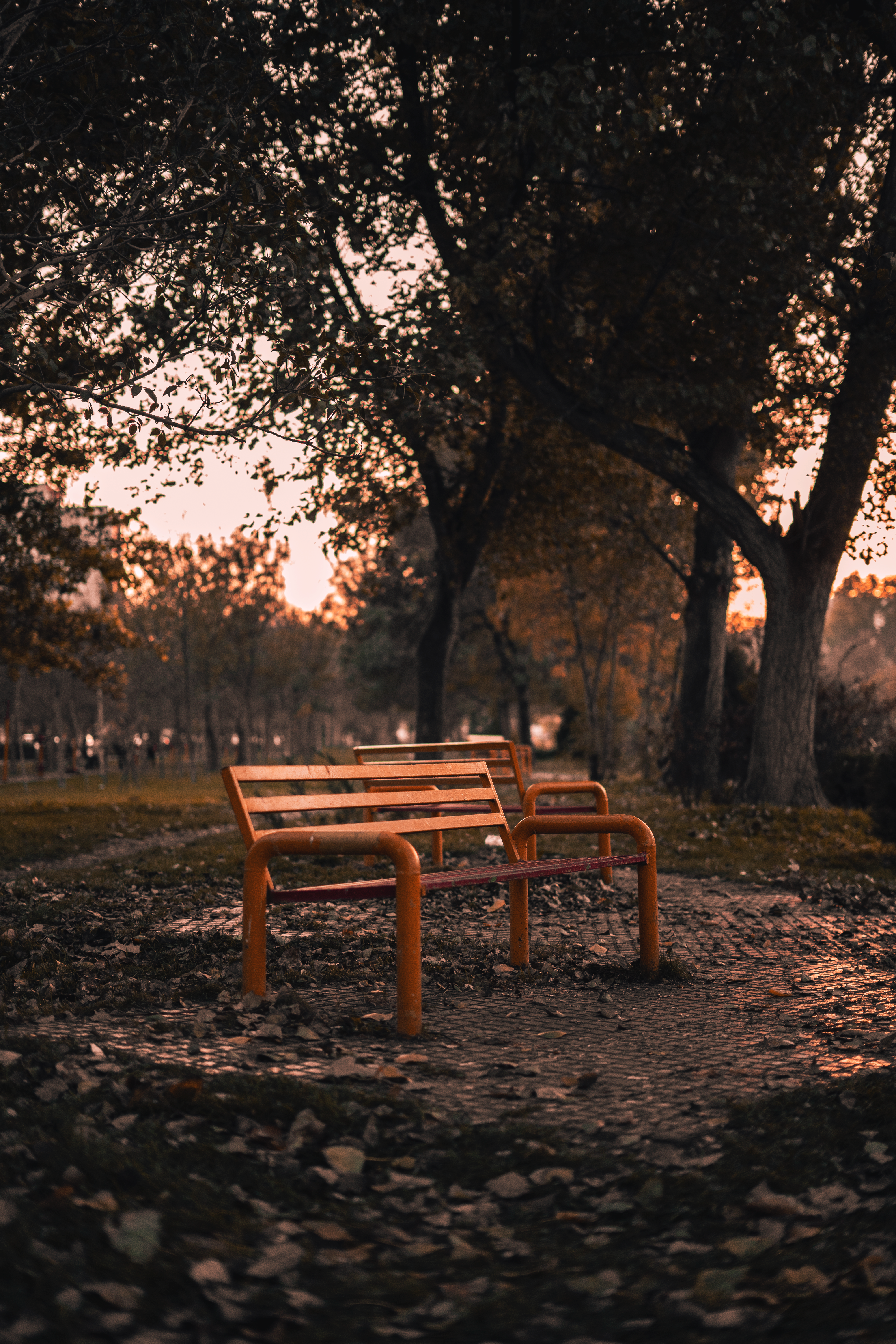 Photo by mohammaddadkhah