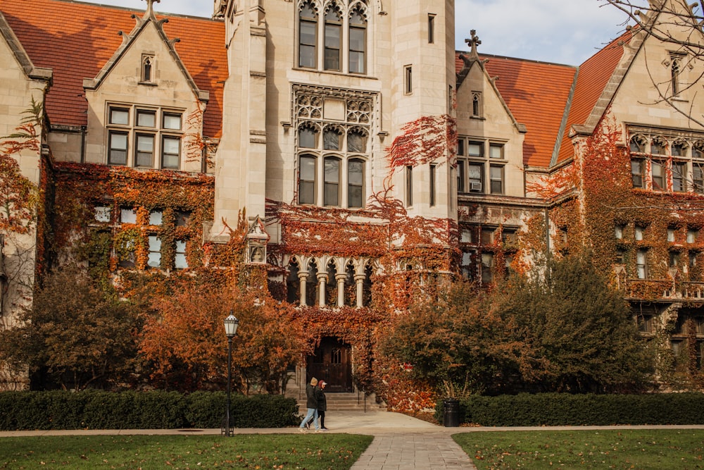 University Of Chicago Pictures | Download Free Images on Unsplash