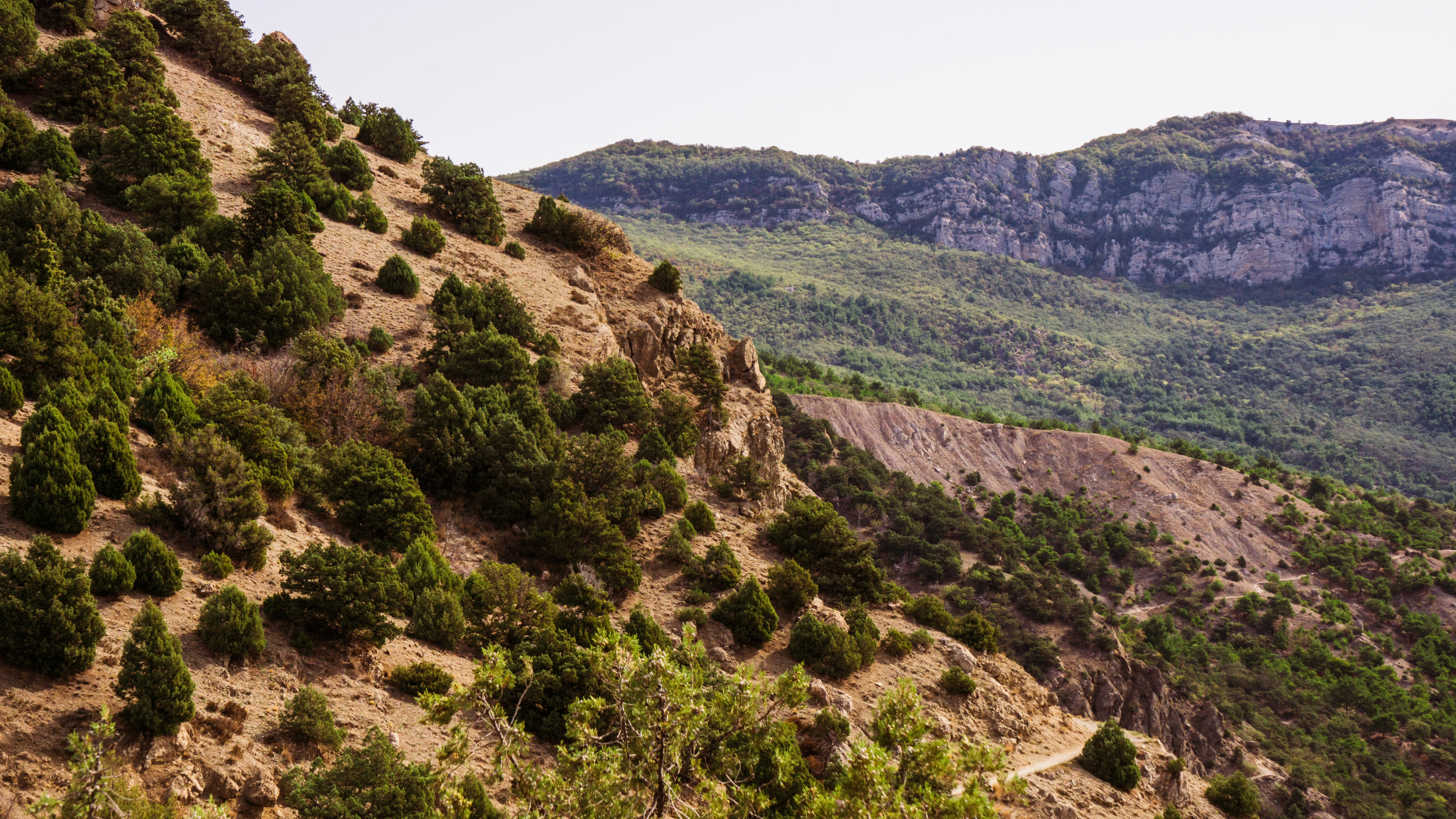 Photo by anainsomnia