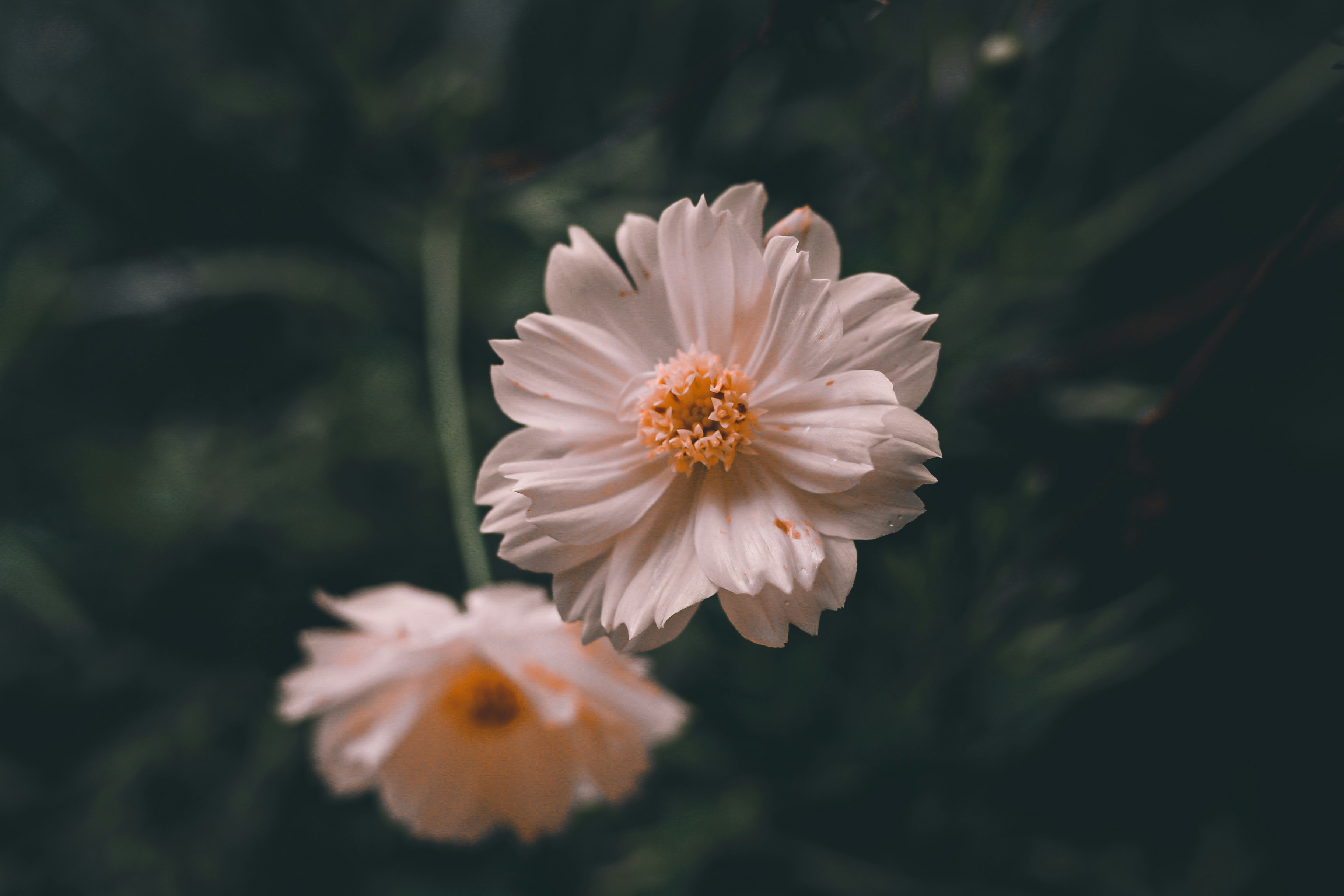 Photo by shutter_by_boofocus