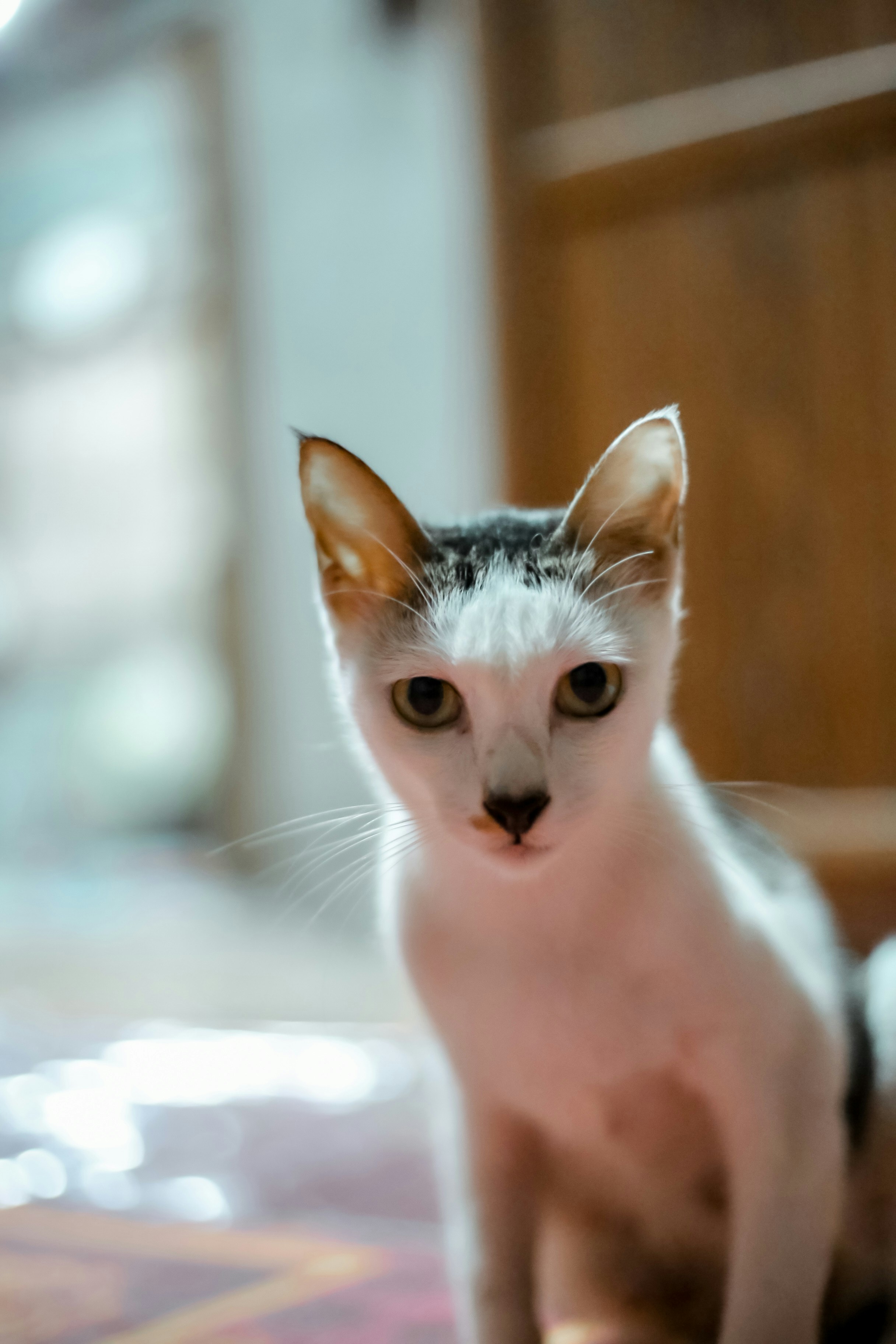 Photo by shutter_by_boofocus