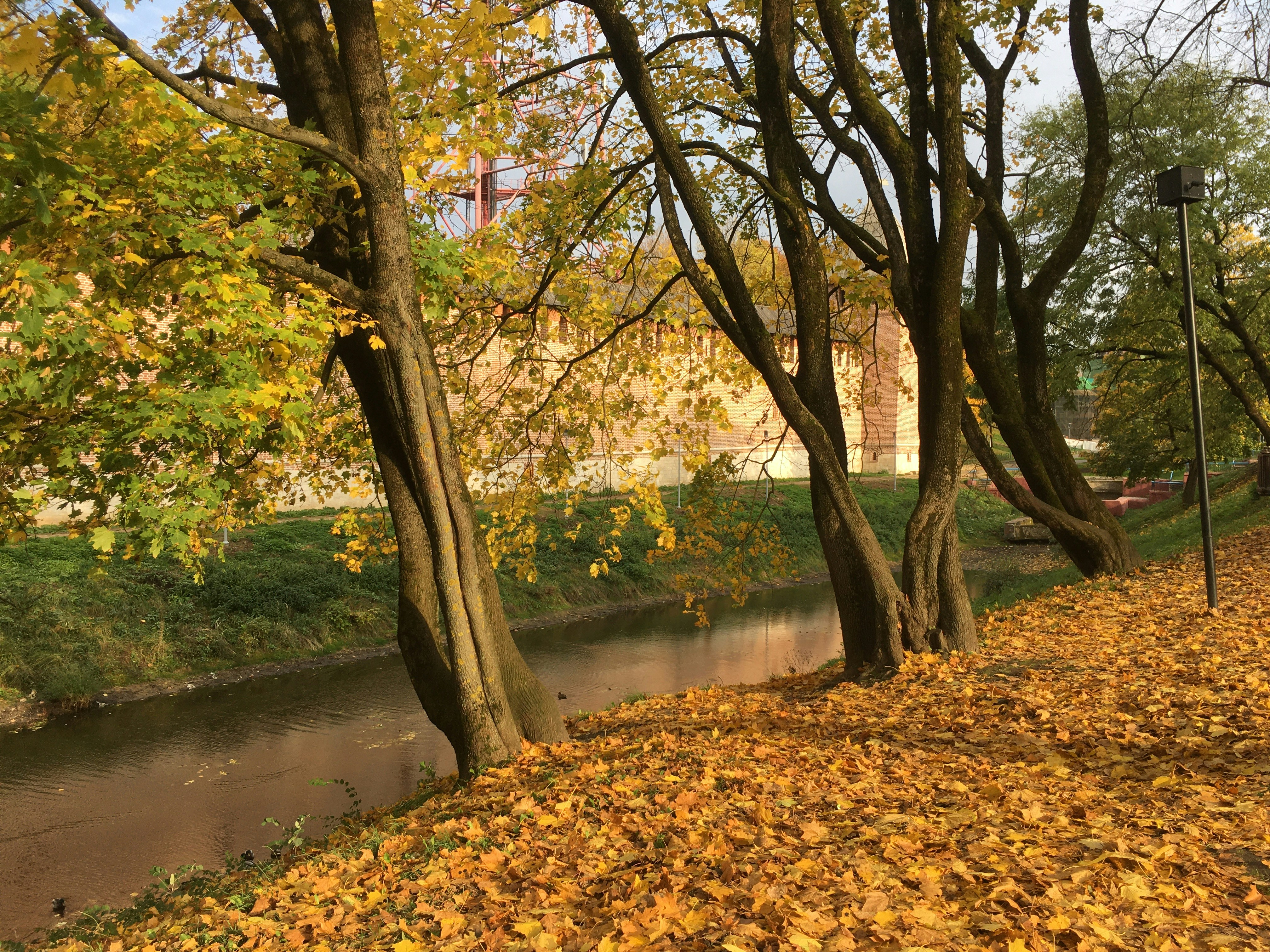 photo-1603708200950-324b7933d332?ixid=M3wxMjA3fDB8MXxzZWFyY2h8N3x8JUQwJUExJUQwJUJDJUQwJUJFJUQwJUJCJUQwJUI1JUQwJUJEJUQxJTgxJUQwJUJBJTIwJUQwJUIxJUQwJUIwJUQxJTgwJUQwJUIwJUQxJTg1JUQwJUJFJUQwJUJCJUQwJUJBJUQwJUIwfGVufDB8fHx8MTczMzI5Njk0MXww\u0026ixlib=rb-4.0.3