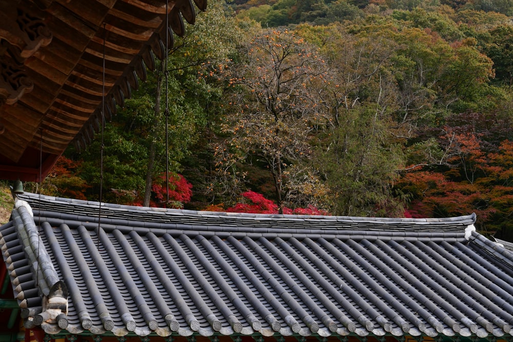 brown wooden roof near green and brown trees during daytime