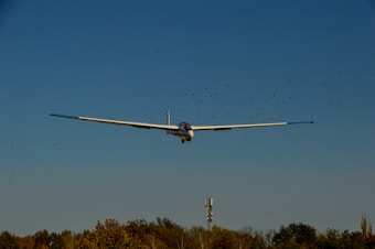 A glider is seen flying in the sky with a group of birds nearby. The background features a clear, blue sky and trees with autumn foliage. A communication tower is visible in the field below.