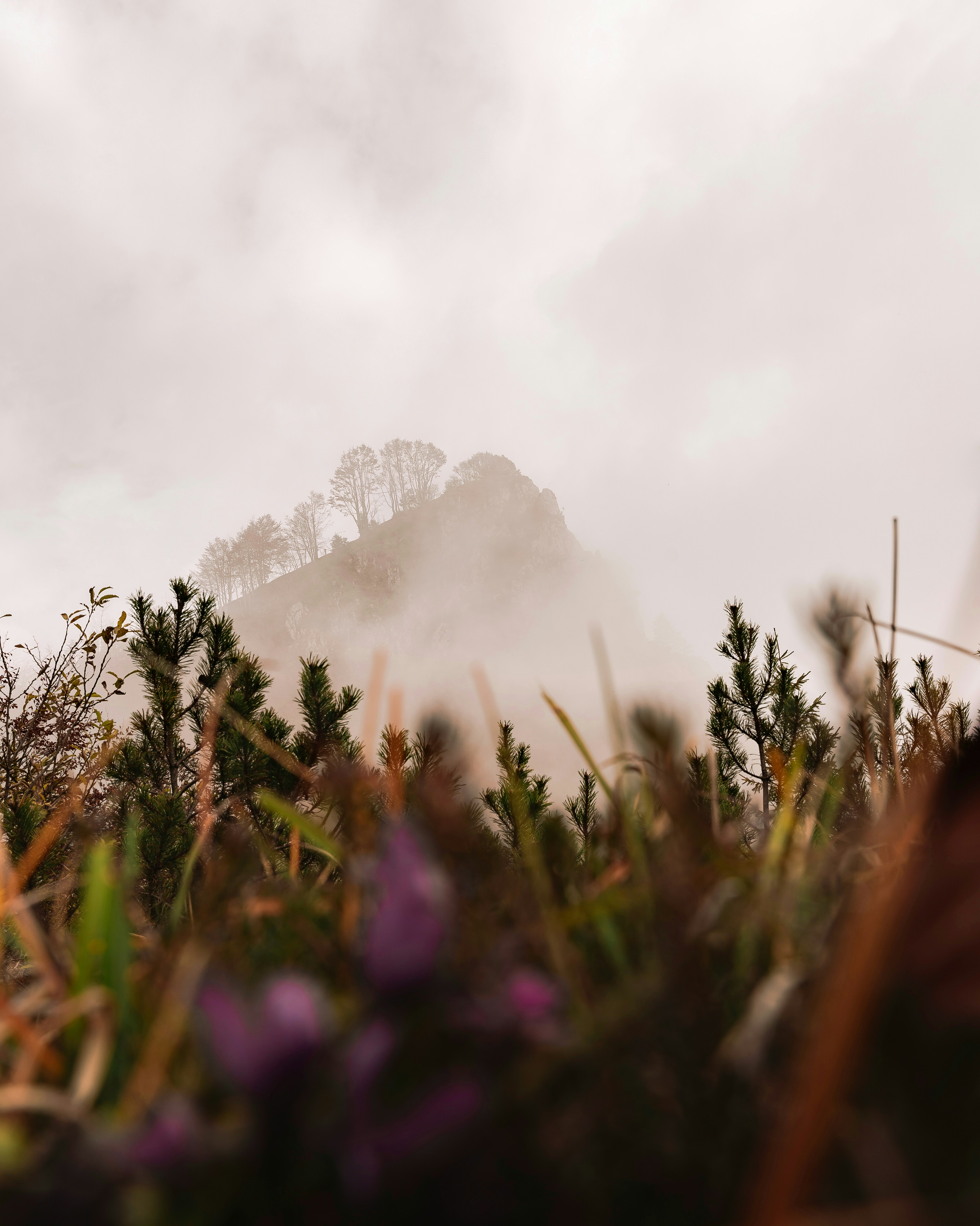 Photo by lorenzocerato