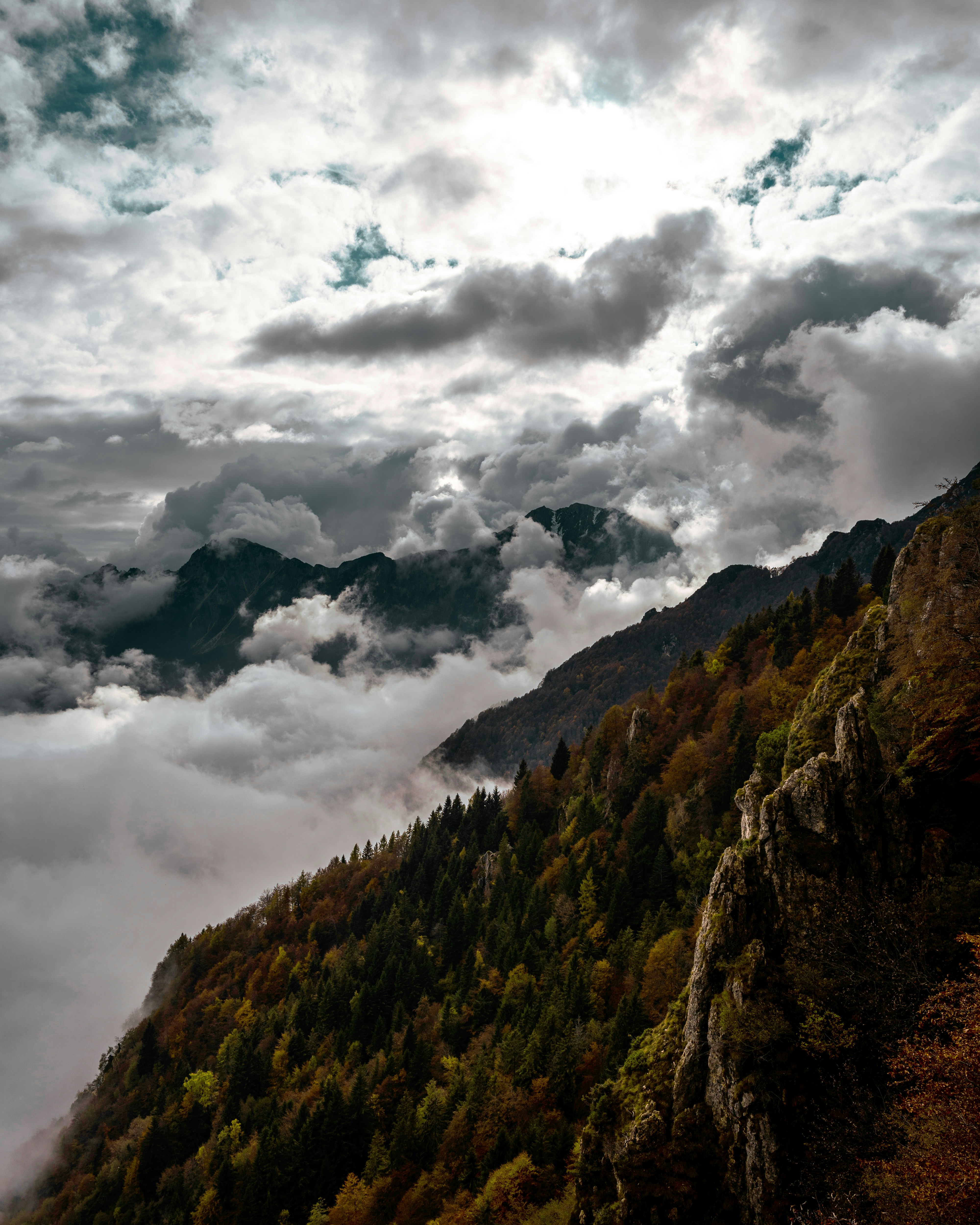 Photo by lorenzocerato