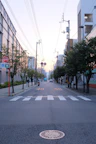 gray concrete road between green trees during daytime