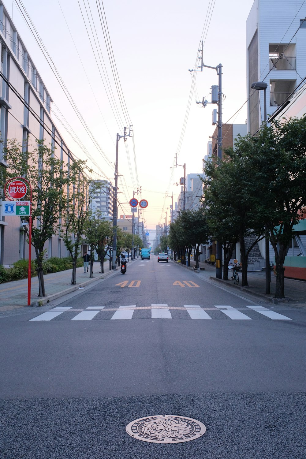 gray concrete road between green trees during daytime