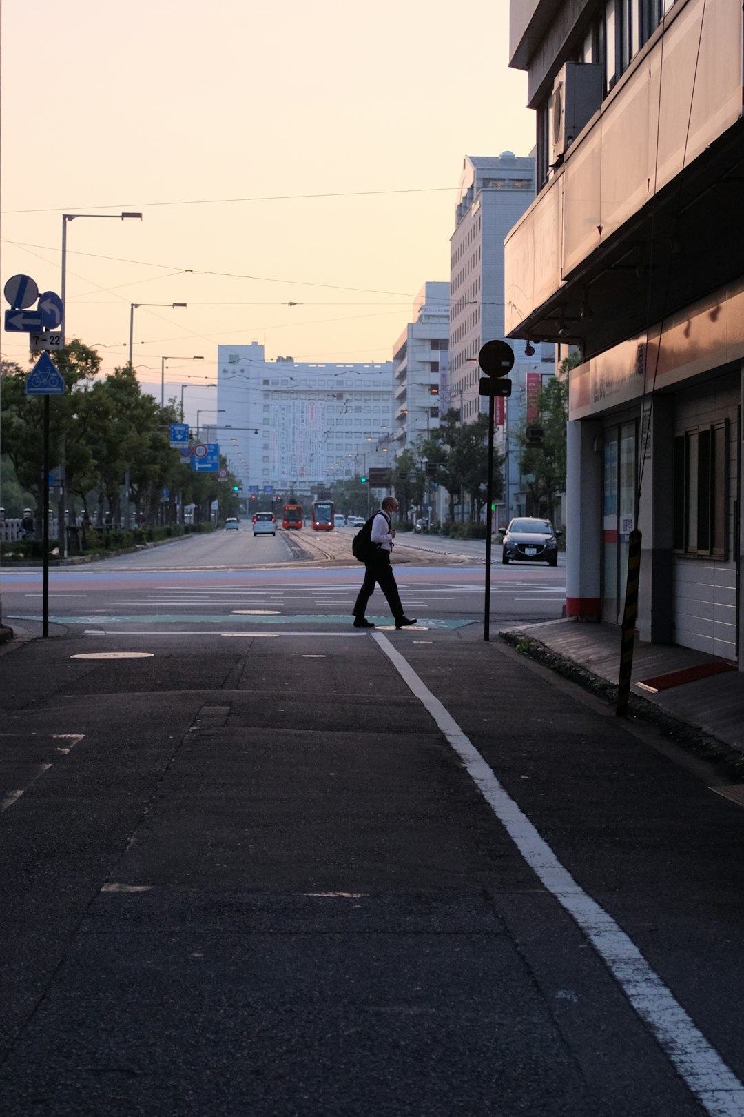 person walking on pedestrian lane during daytime