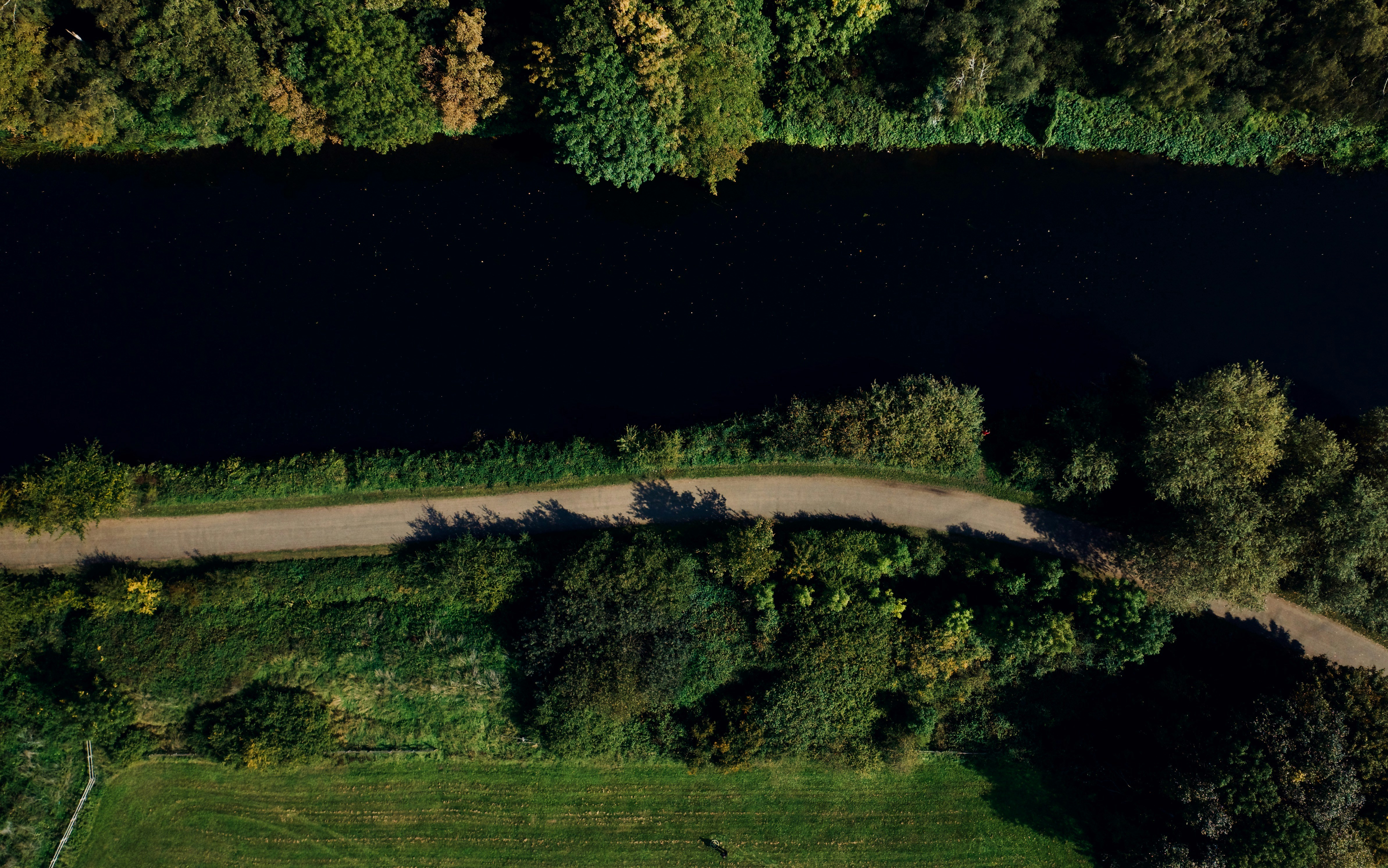 green grass field and trees