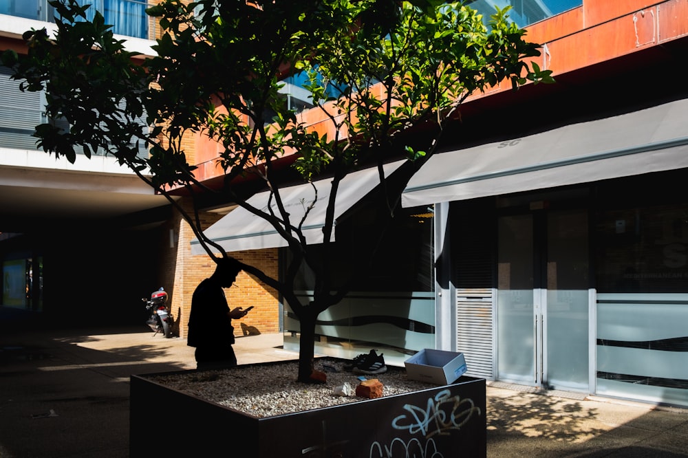 woman in black dress standing near green tree during daytime