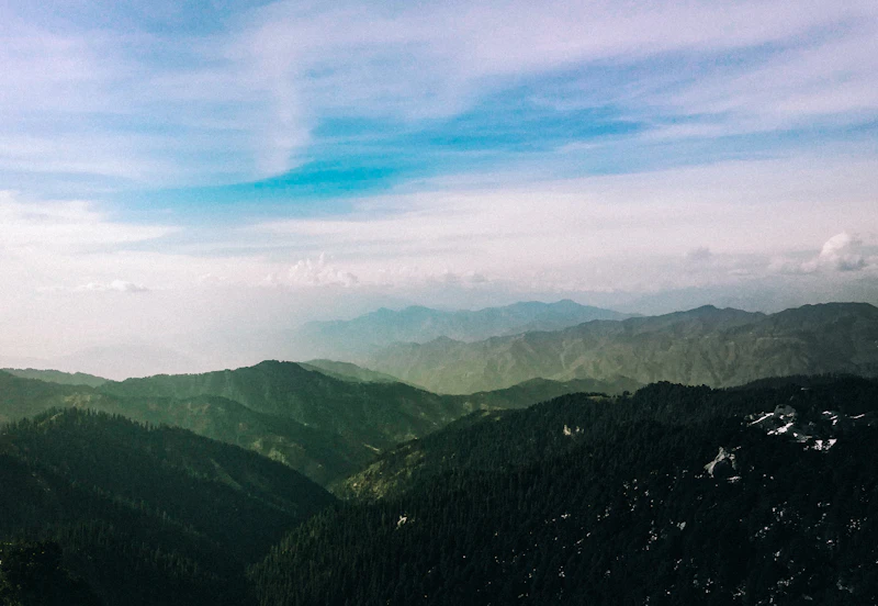 Best Co-Living Spaces for Digital Nomads in Mandi