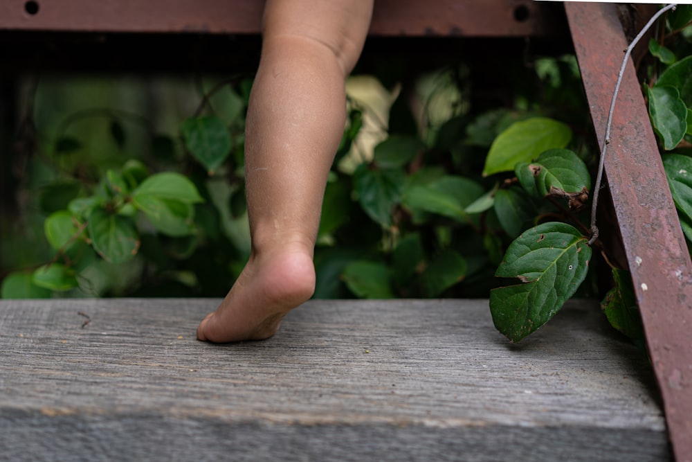 persons feet on brown wooden floor