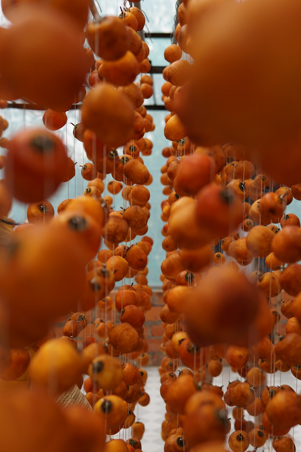 日中のオレンジ色の丸い吊り下げ装飾