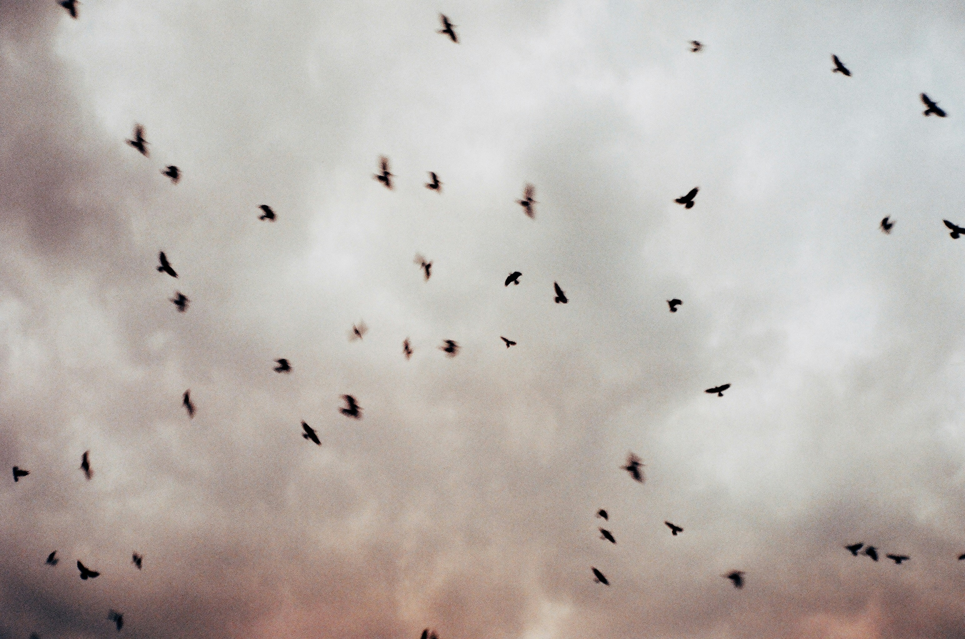 Photo by barnikakovacs