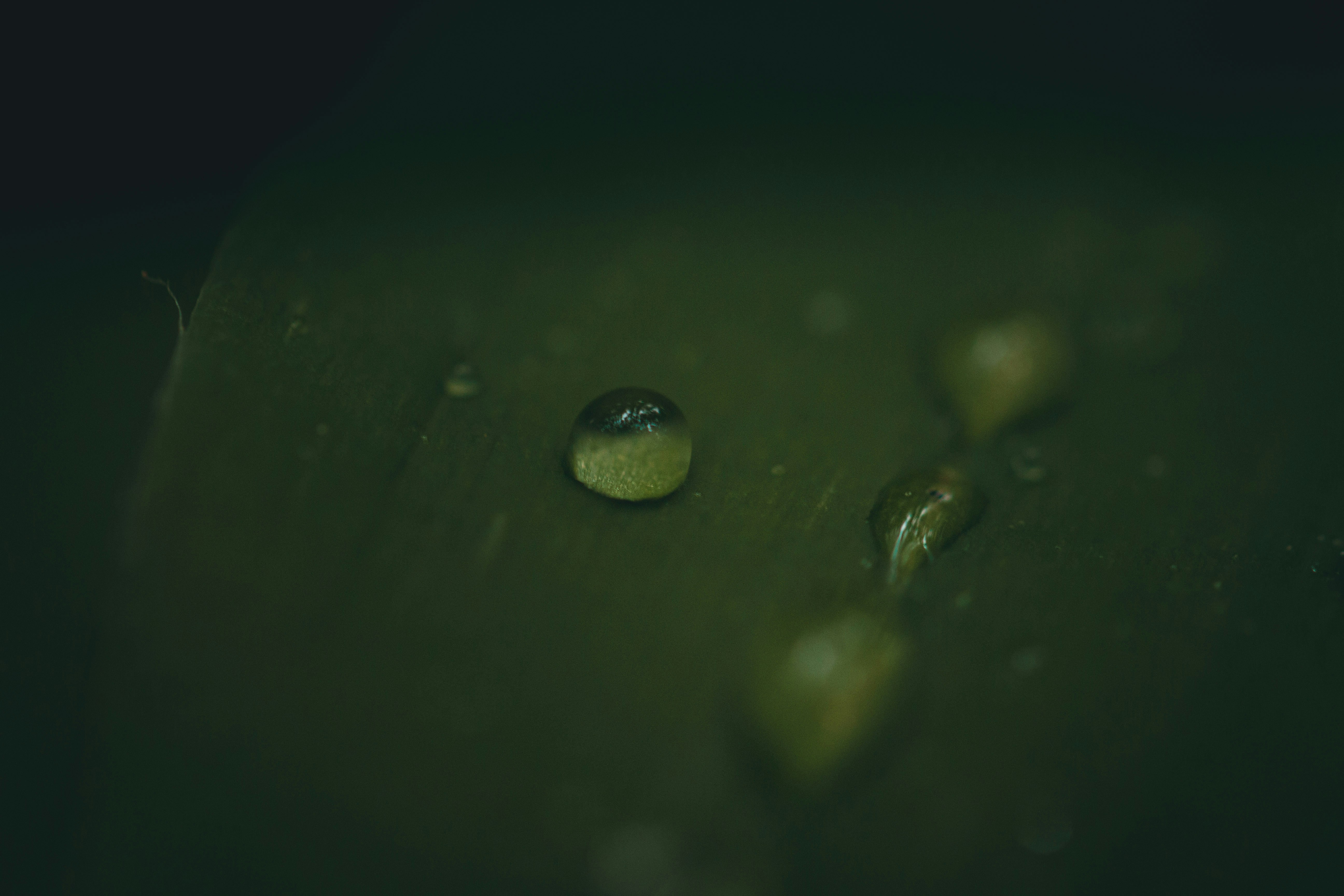 Aptos' APT drops as token tracks broader crypto market weakness