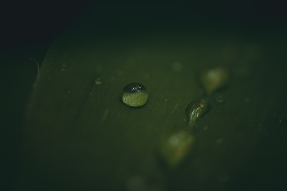 water droplets on green surface