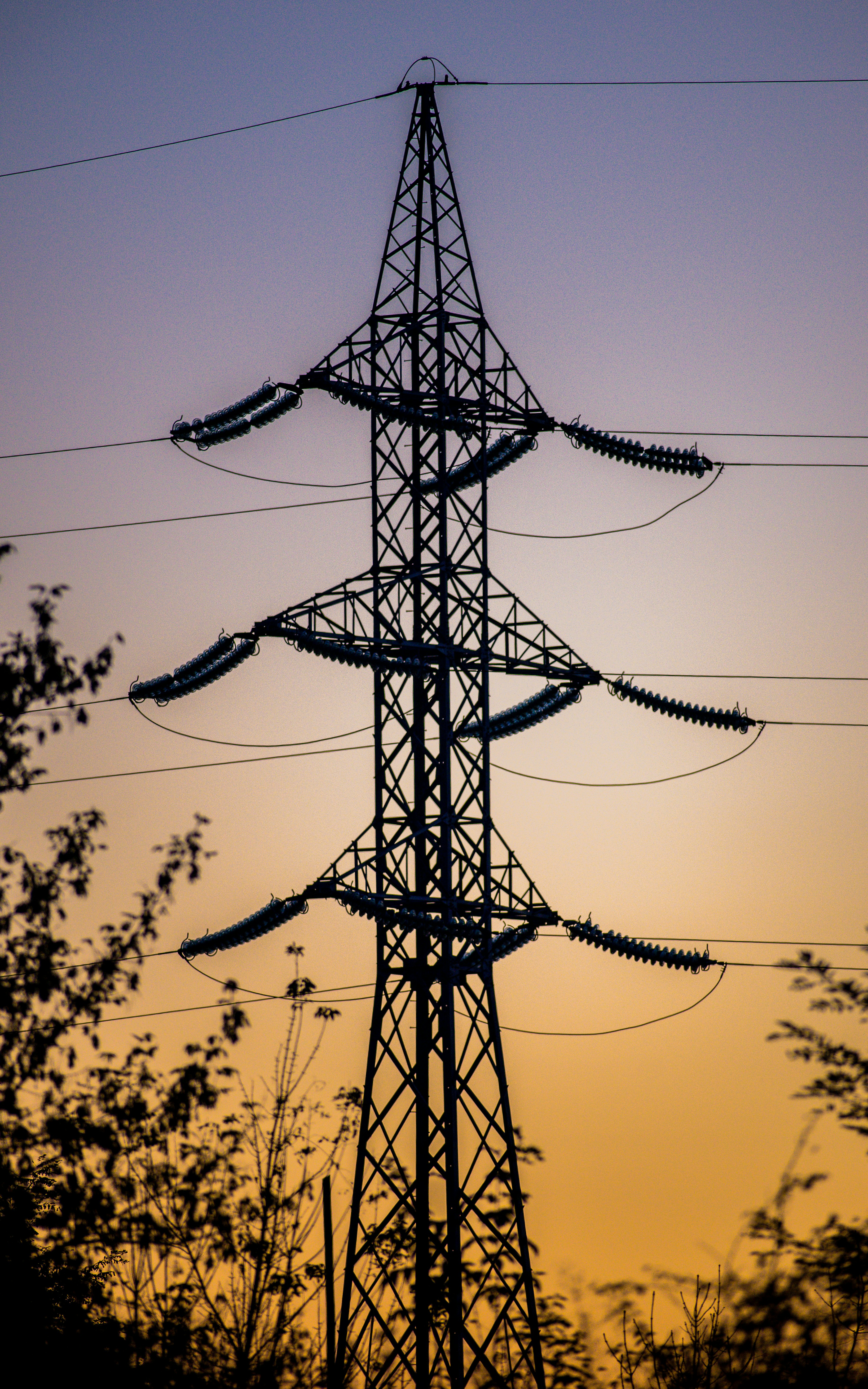 Photo by dtphotography