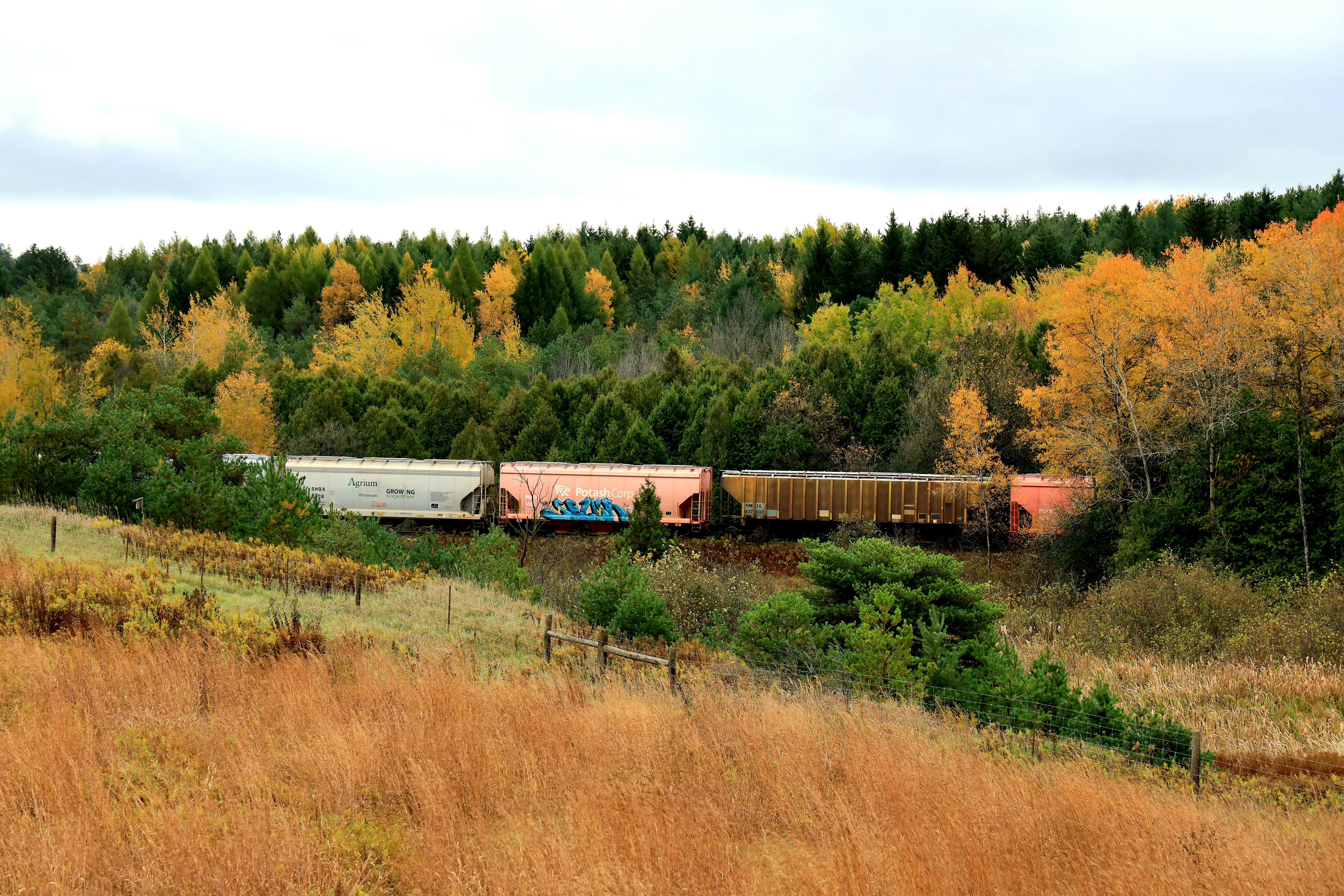 white and red train on rail road near green trees during daytime