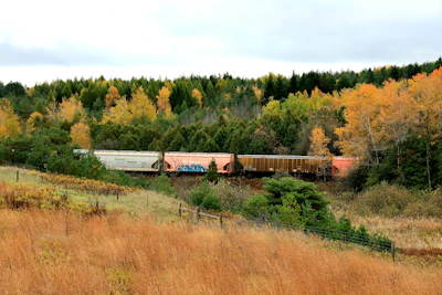 An Amtrak AutoTrain pulling into a scenic station with cars loaded.