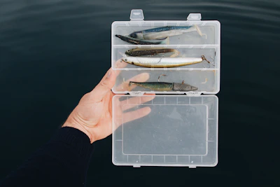 A colorful assortment of baits and additives displayed neatly on a tackle box.
