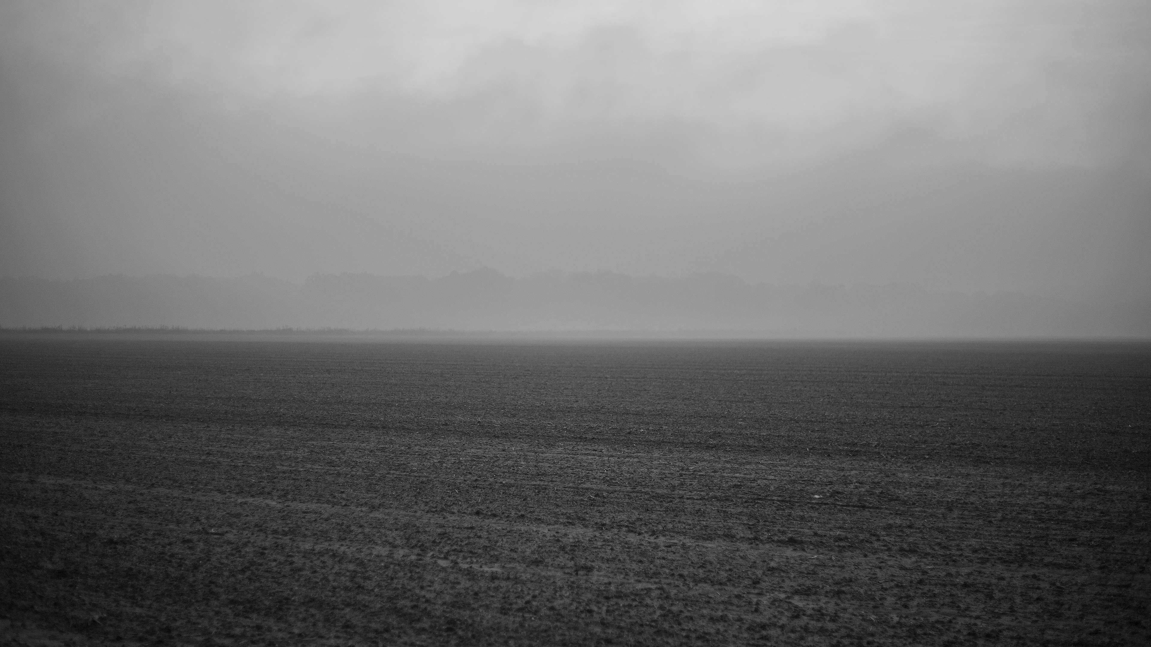 Photo by zdzieblowski