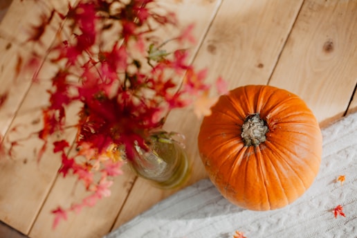 orange pumpkin beside red flowers