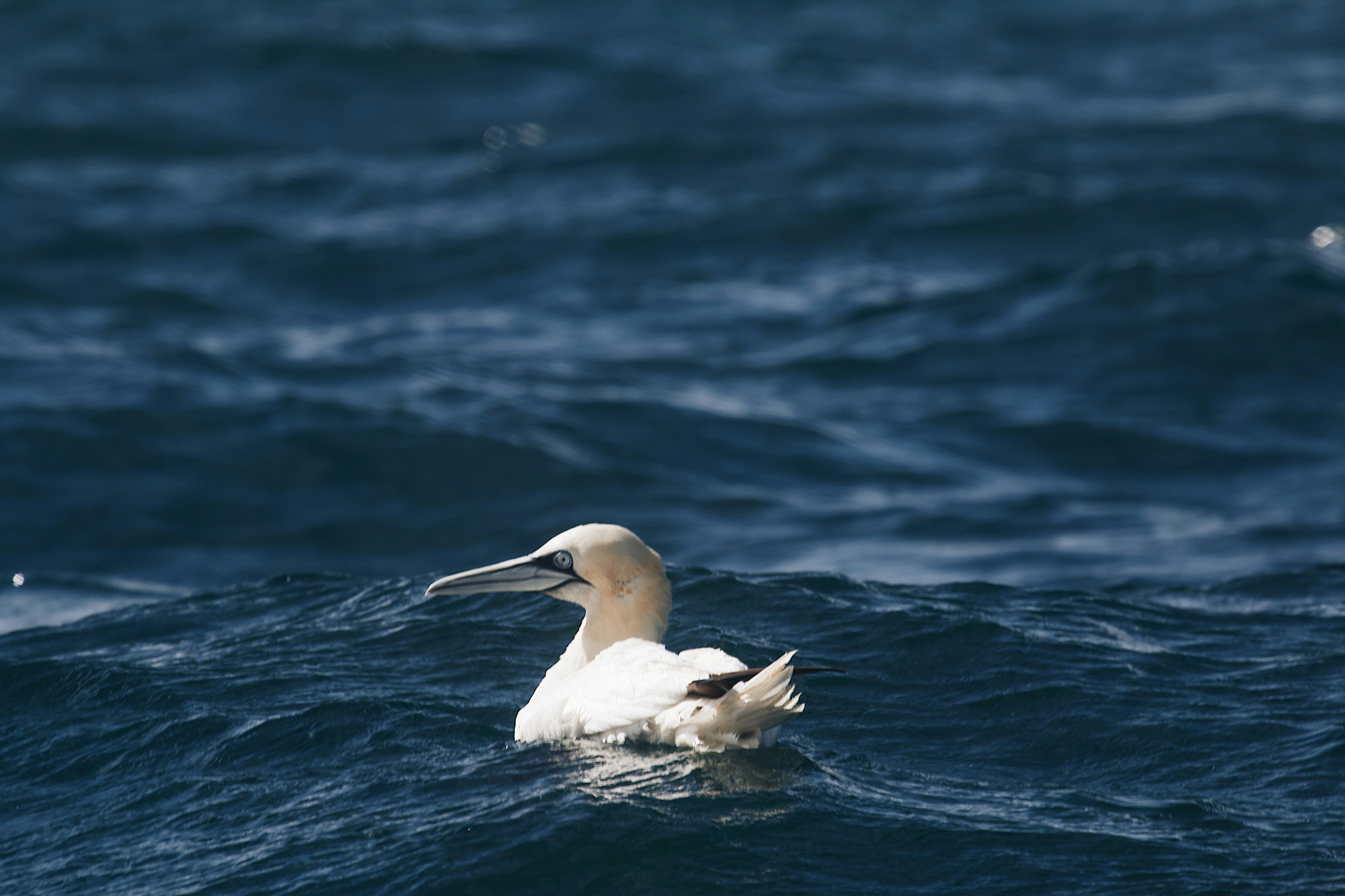 Photo by mael_balland