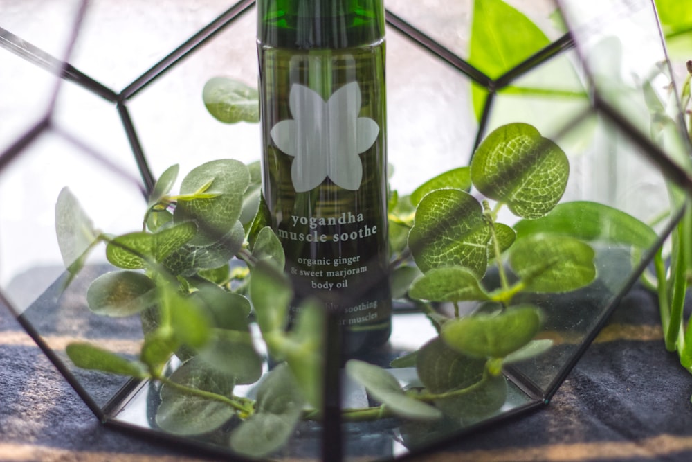 green glass bottle beside green leaves