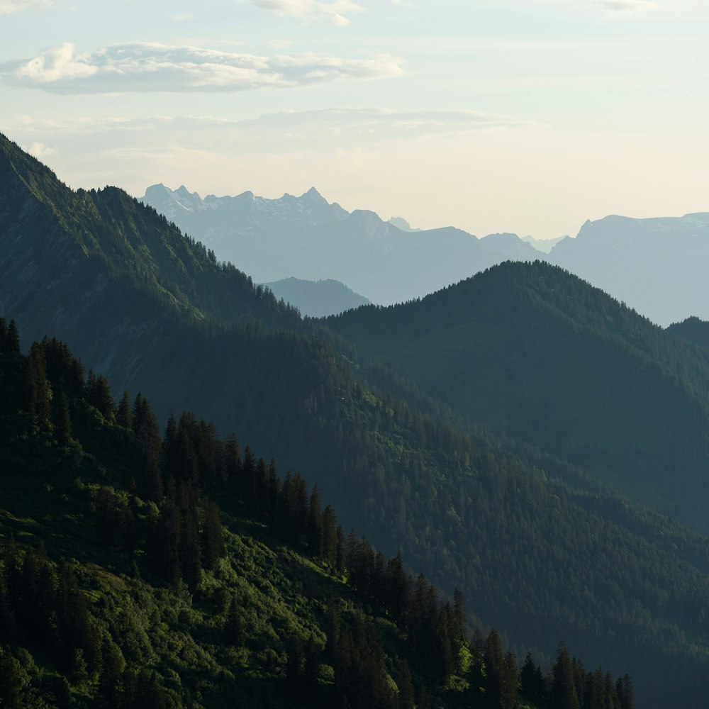 green trees on mountain under white clouds during daytime