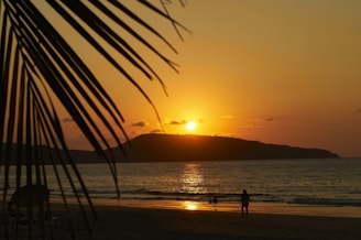 silhouette of 2 people standing on beach during sunset