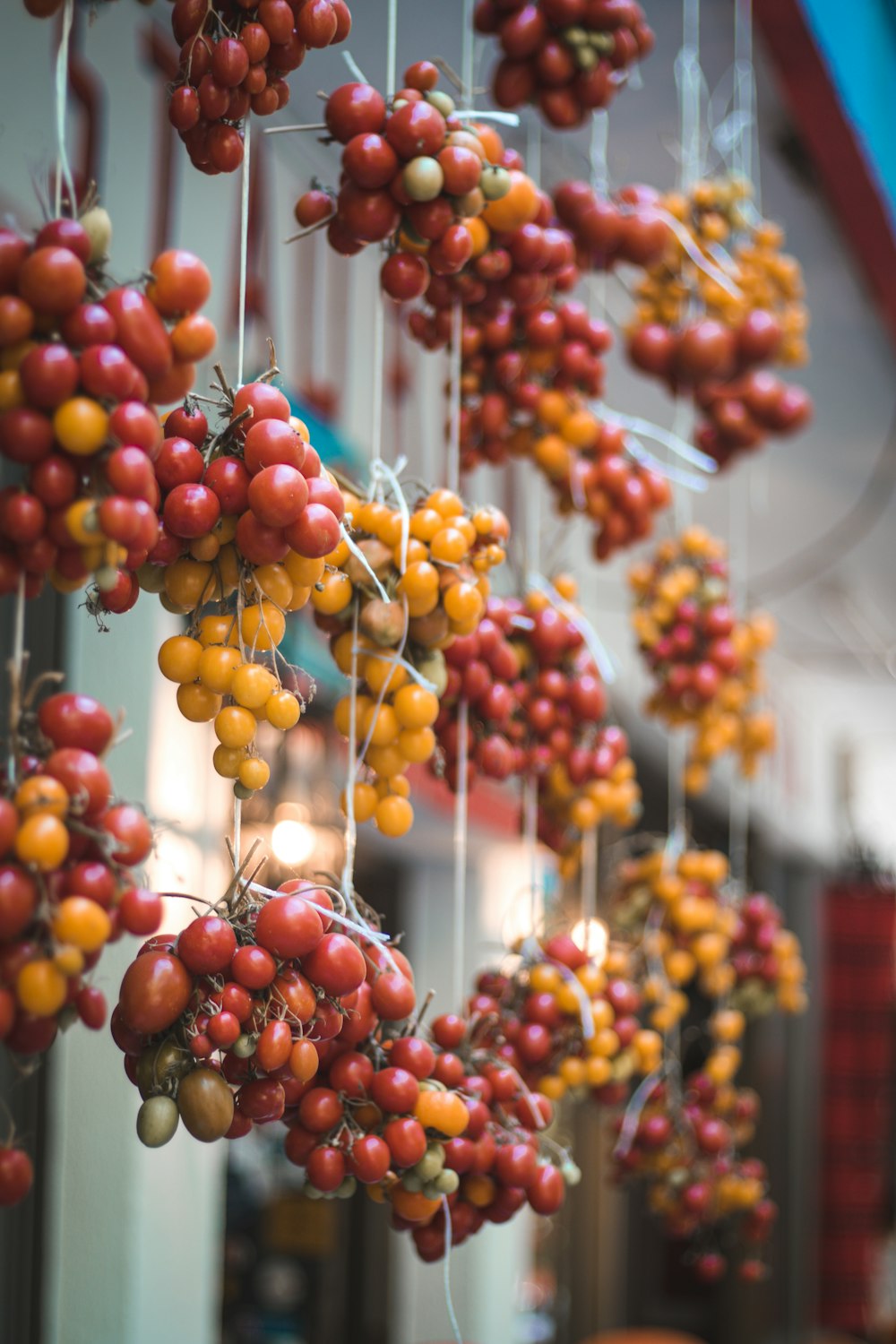 red and yellow round fruits