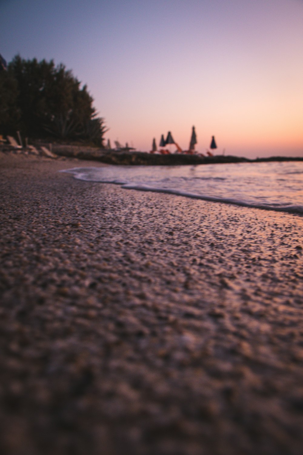 people on beach during daytime