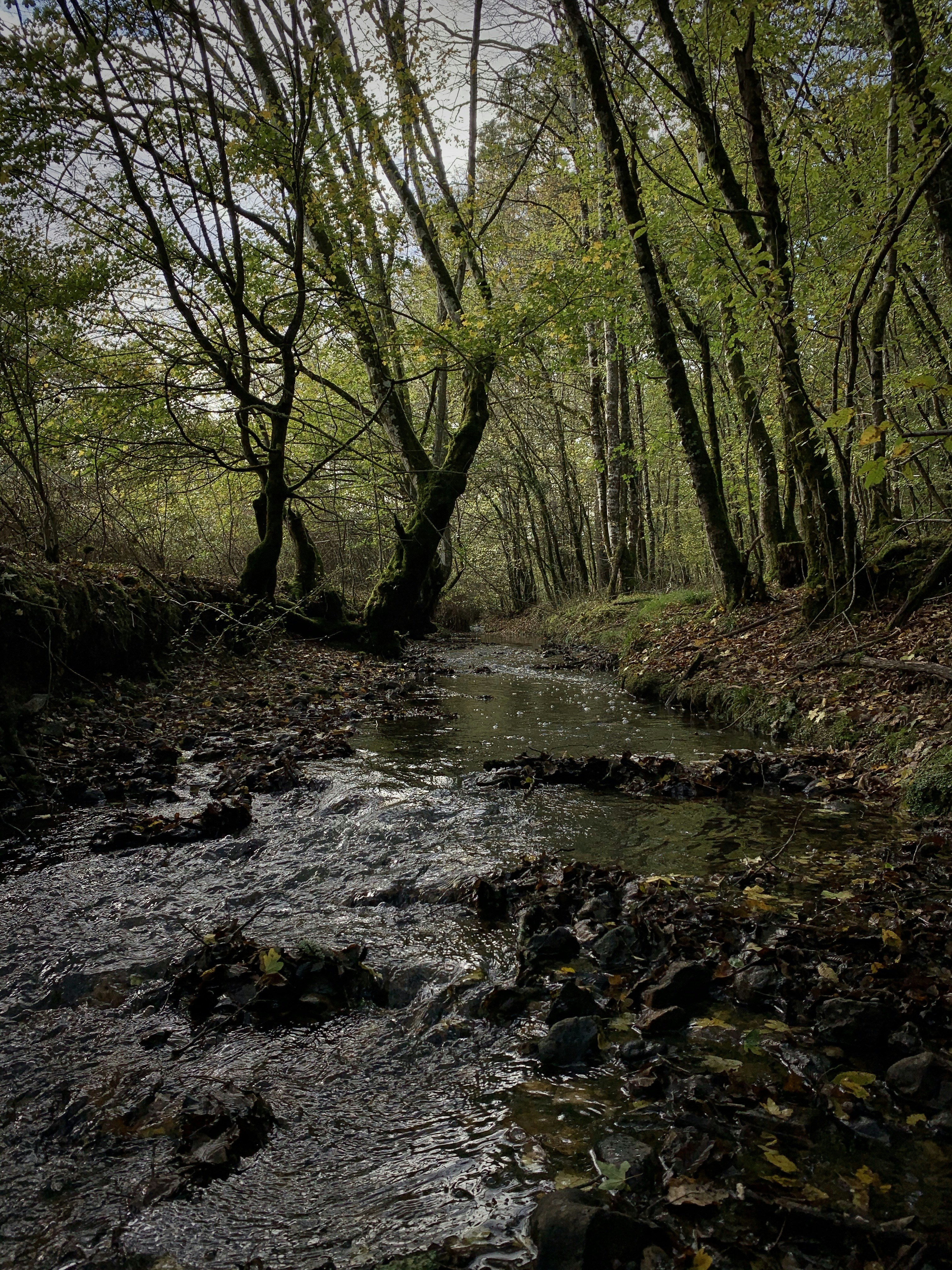 Photo by thomascateau