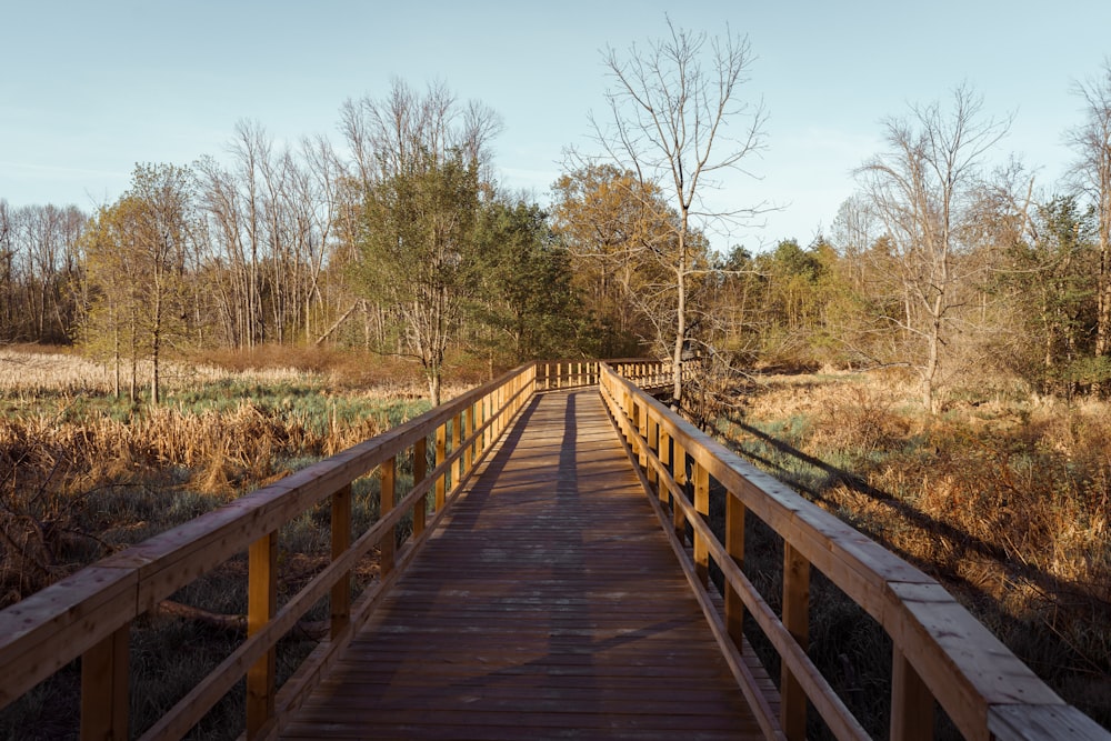 ponte de madeira marrom sobre o campo de grama verde durante o dia