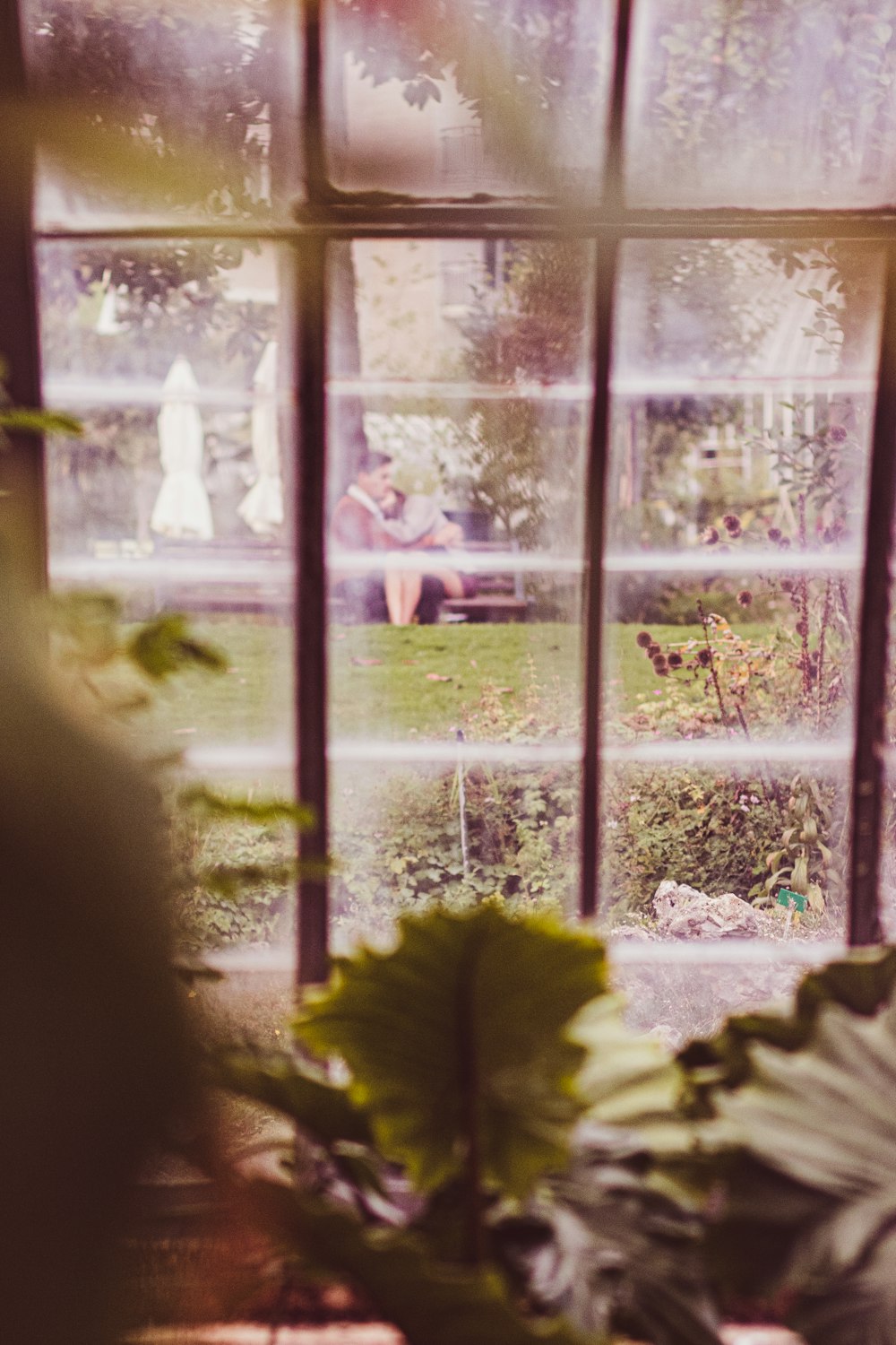 green plant near white window