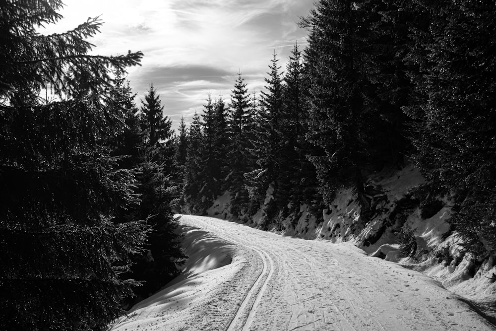 grayscale photo of snow covered road between trees