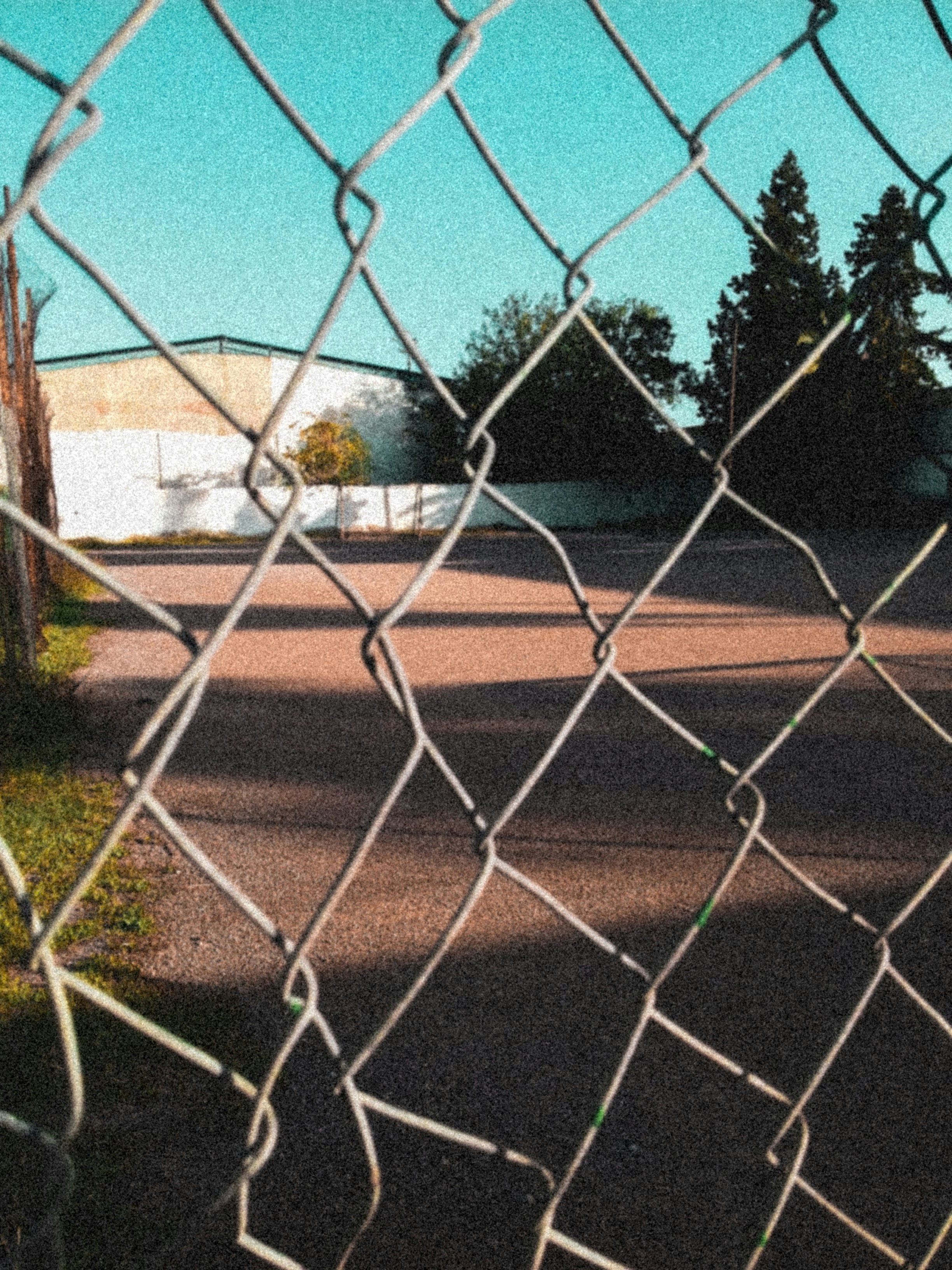 Photo by hamza_photography1