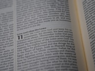 A close-up view of an open book showing a passage of text that discusses religious themes. The focus is on a specific section that begins with the phrase 'Love and obey the LORD'.