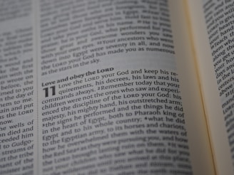 A close-up view of an open book showing a passage of text that discusses religious themes. The focus is on a specific section that begins with the phrase 'Love and obey the LORD'.