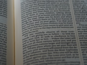 Close-up view of an open book with a focus on a page displaying text. The visible text includes words related to promises and teachings. The lighting highlights the central area, creating a soft shadow on one side of the page.