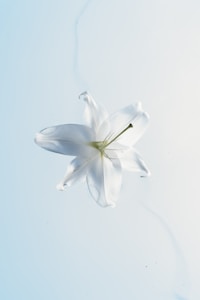 Soft-Tech Design