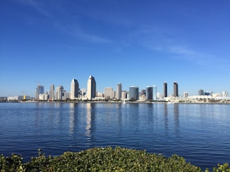 city skyline across body of water during daytime