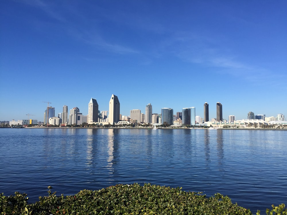 city skyline across body of water during daytime