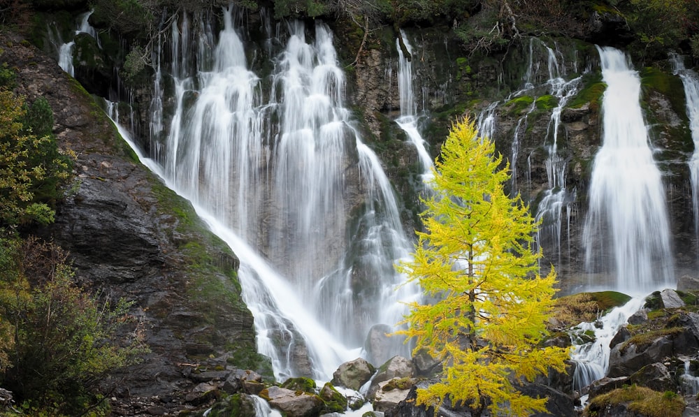 waterfalls in the middle of the forest