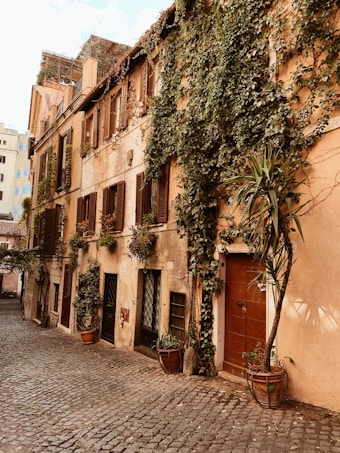 A picturesque cobblestone street lined with quaint buildings covered in lush green ivy. The walls are adorned with various potted plants and flowers, contributing to a warm and rustic ambiance. The architecture features wooden shutters and charming windows, characteristic of old European towns.