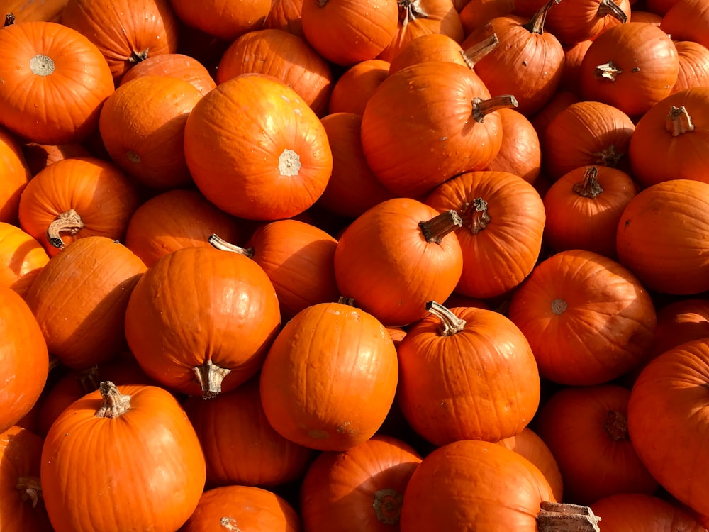 orange pumpkins on brown soil